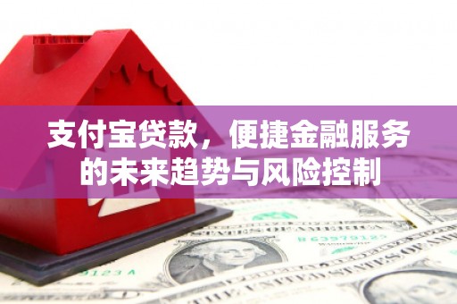 利辛支付宝贷款，便捷金融服务的未来趋势与风险控制