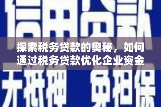 利辛探索税务贷款的奥秘，如何通过税务贷款优化企业资金流