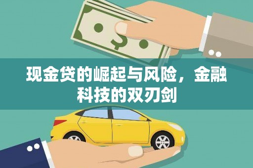 利辛现金贷的崛起与风险，金融科技的双刃剑