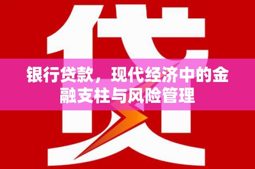 利辛银行贷款，现代经济中的金融支柱与风险管理