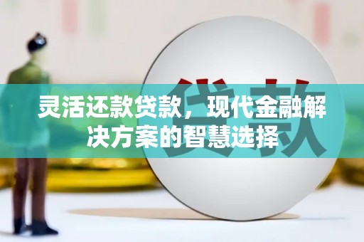 利辛灵活还款贷款，现代金融解决方案的智慧选择