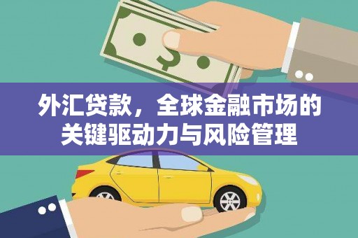 利辛外汇贷款，全球金融市场的关键驱动力与风险管理