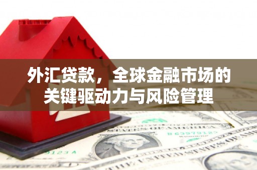 利辛外汇贷款，全球金融市场的关键驱动力与风险管理