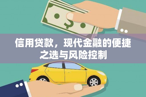 利辛信用贷款，现代金融的便捷之选与风险控制