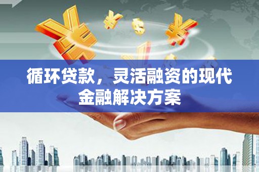 利辛循环贷款，灵活融资的现代金融解决方案