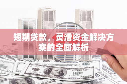 利辛短期贷款，灵活资金解决方案的全面解析