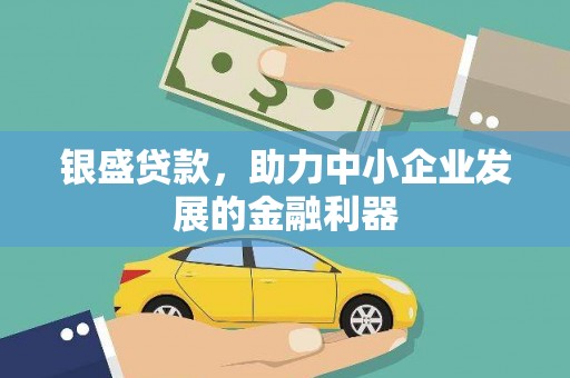 利辛银盛贷款，助力中小企业发展的金融利器