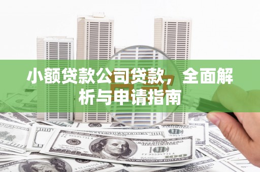 利辛小额贷款公司贷款，全面解析与申请指南