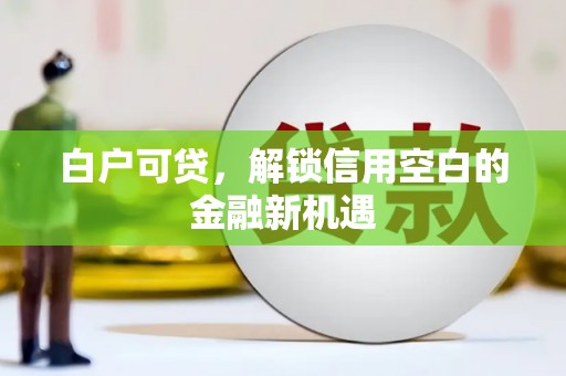 利辛白户可贷，解锁信用空白的金融新机遇