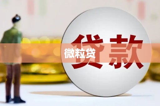 利辛微粒贷