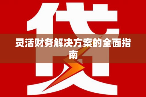 利辛灵活财务解决方案的全面指南