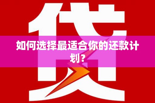 利辛如何选择最适合你的还款计划？