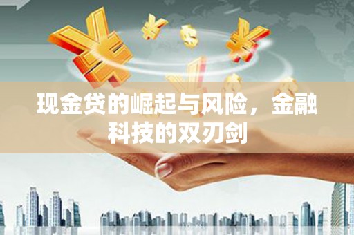 利辛现金贷的崛起与风险，金融科技的双刃剑