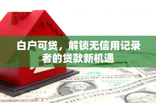 利辛白户可贷，解锁无信用记录者的贷款新机遇