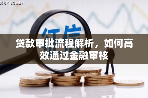 利辛贷款审批流程解析，如何高效通过金融审核
