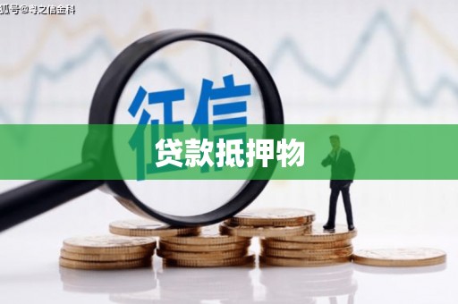 利辛贷款抵押物