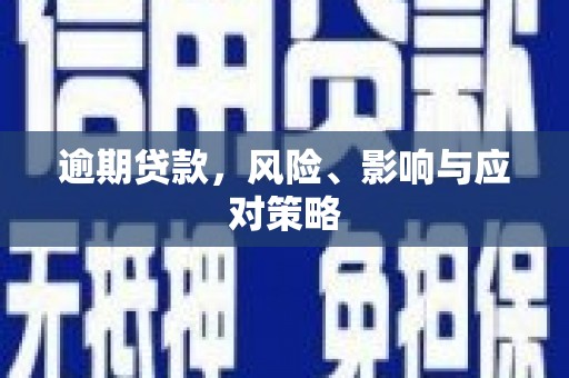 利辛逾期贷款，风险、影响与应对策略