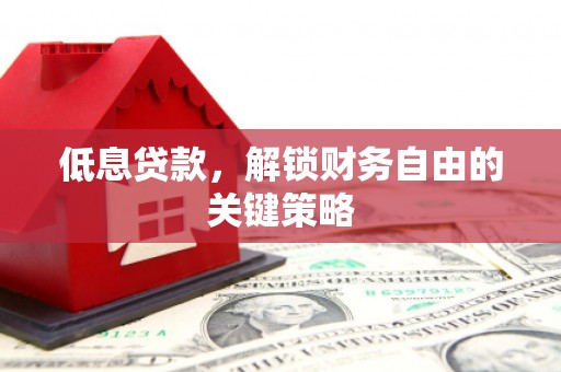 利辛低息贷款，解锁财务自由的关键策略