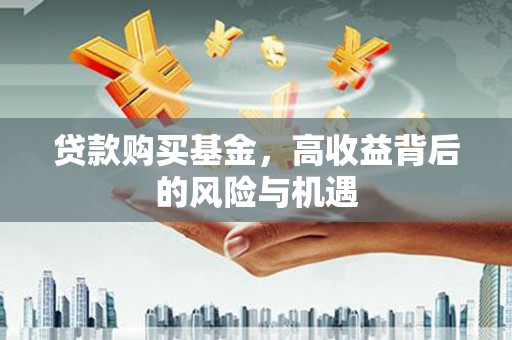 利辛贷款购买基金，高收益背后的风险与机遇