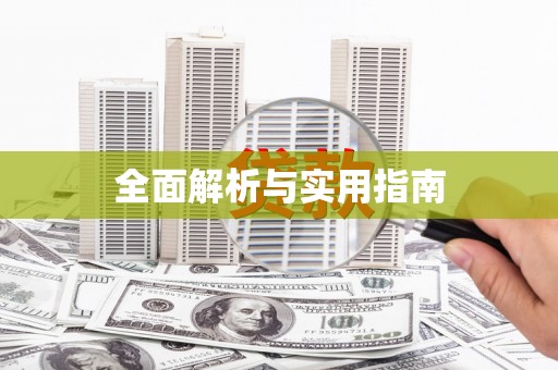 利辛全面解析与实用指南