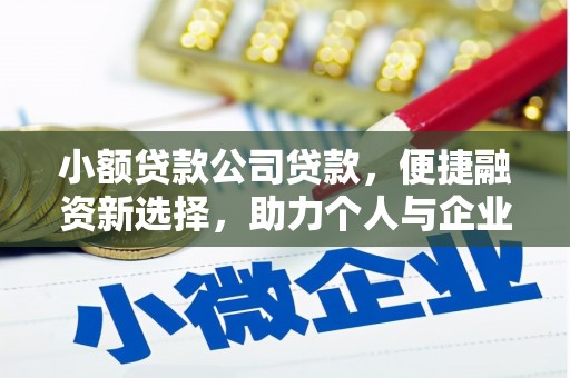利辛小额贷款公司贷款，便捷融资新选择，助力个人与企业成长