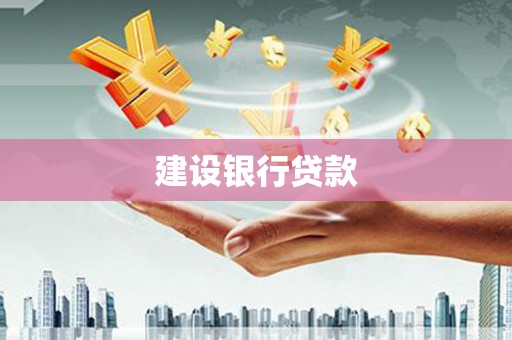 利辛建设银行贷款