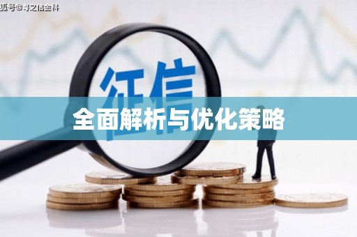 利辛全面解析与优化策略