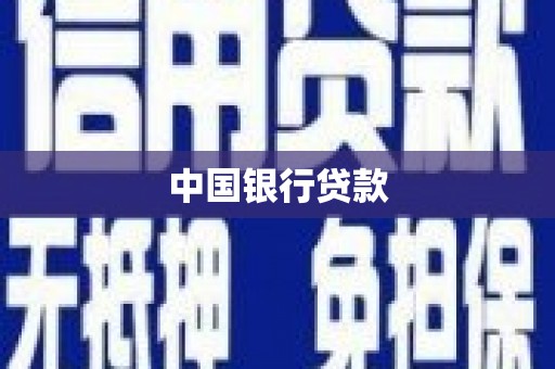 利辛中国银行贷款