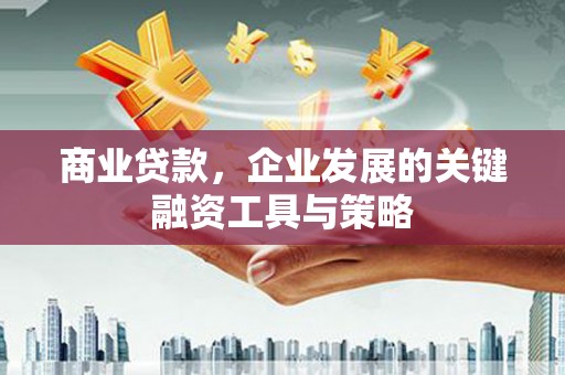 利辛商业贷款，企业发展的关键融资工具与策略