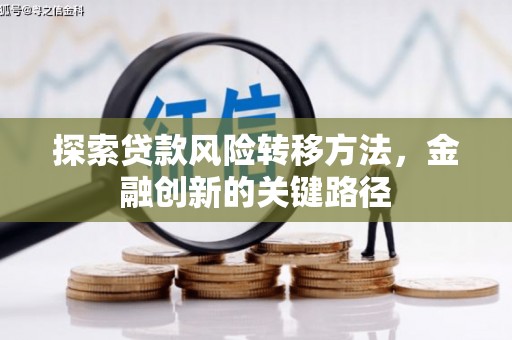 利辛探索贷款风险转移方法，金融创新的关键路径