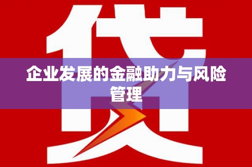利辛企业发展的金融助力与风险管理