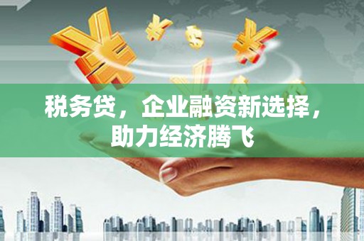 利辛税务贷，企业融资新选择，助力经济腾飞