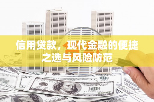 利辛信用贷款，现代金融的便捷之选与风险防范
