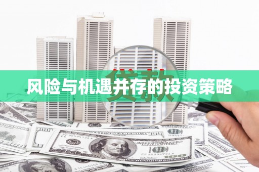 利辛风险与机遇并存的投资策略