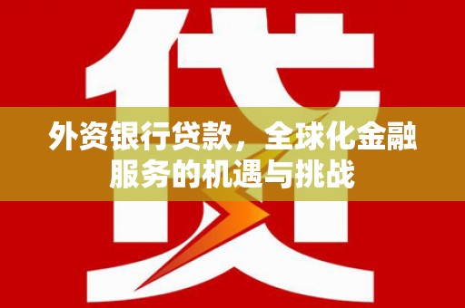 利辛外资银行贷款，全球化金融服务的机遇与挑战