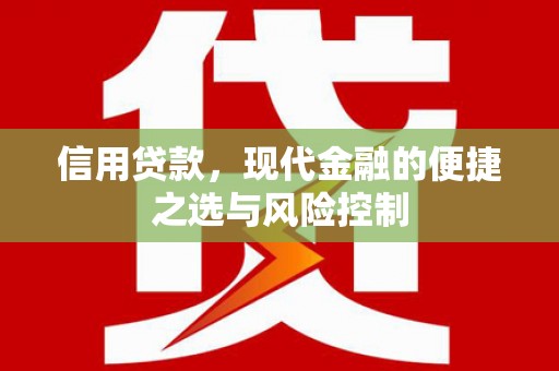 利辛信用贷款，现代金融的便捷之选与风险控制