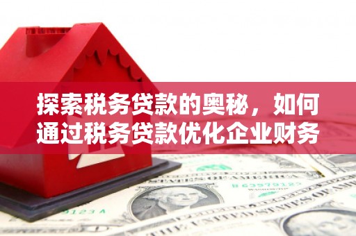 利辛探索税务贷款的奥秘，如何通过税务贷款优化企业财务