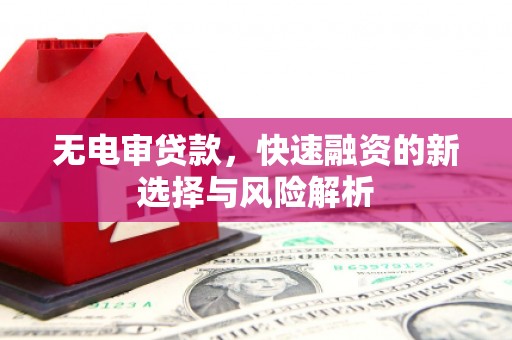 利辛无电审贷款，快速融资的新选择与风险解析