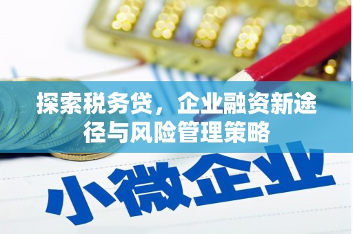 利辛探索税务贷，企业融资新途径与风险管理策略