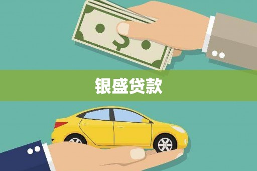 利辛银盛贷款