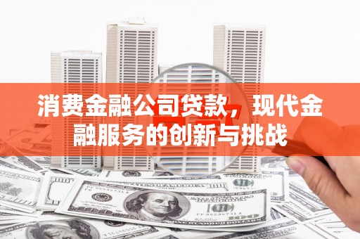 利辛消费金融公司贷款，现代金融服务的创新与挑战