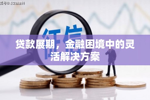 利辛贷款展期，金融困境中的灵活解决方案