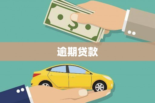利辛逾期贷款
