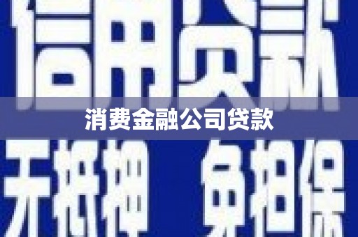 利辛消费金融公司贷款
