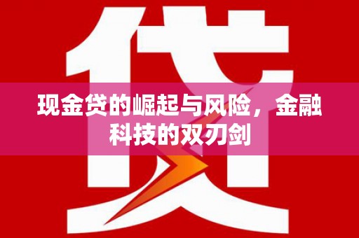 利辛现金贷的崛起与风险，金融科技的双刃剑