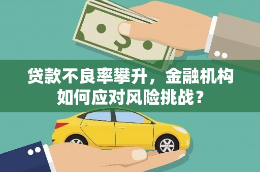 利辛贷款不良率攀升，金融机构如何应对风险挑战？