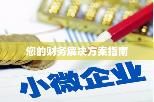 利辛您的财务解决方案指南