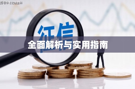 利辛全面解析与实用指南