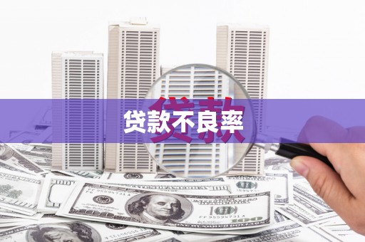 利辛贷款不良率