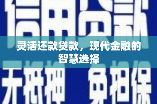 利辛灵活还款贷款，现代金融的智慧选择